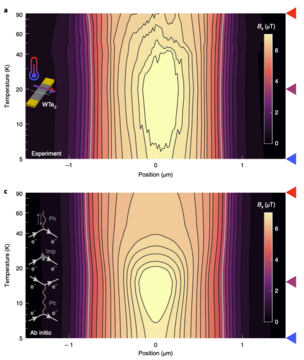 WTe2 hydrodynamics